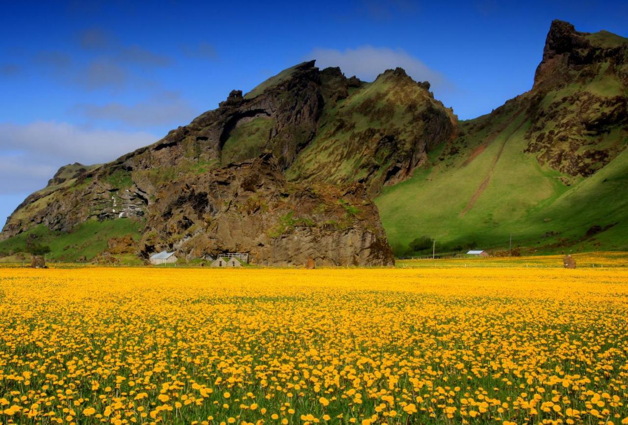 Cozy Cottage By Stay Iceland Hvolsvöllur Rum bild